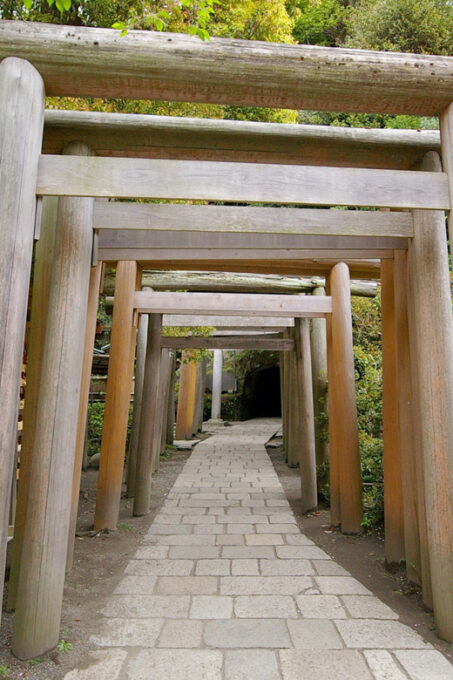 Kamakura: 5-Hour Nature and History Walking Tour - Frequently Asked Questions