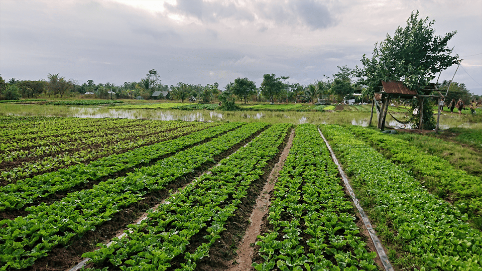 Kampot Countryside Tours - Frequently Asked Questions