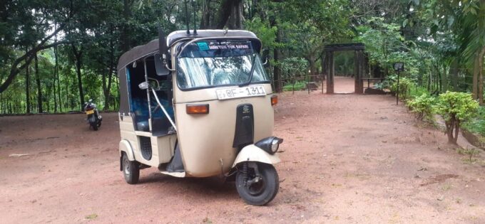 Kandy to Sigiriya Day Tour - Discovering Dambulla Cave Temple