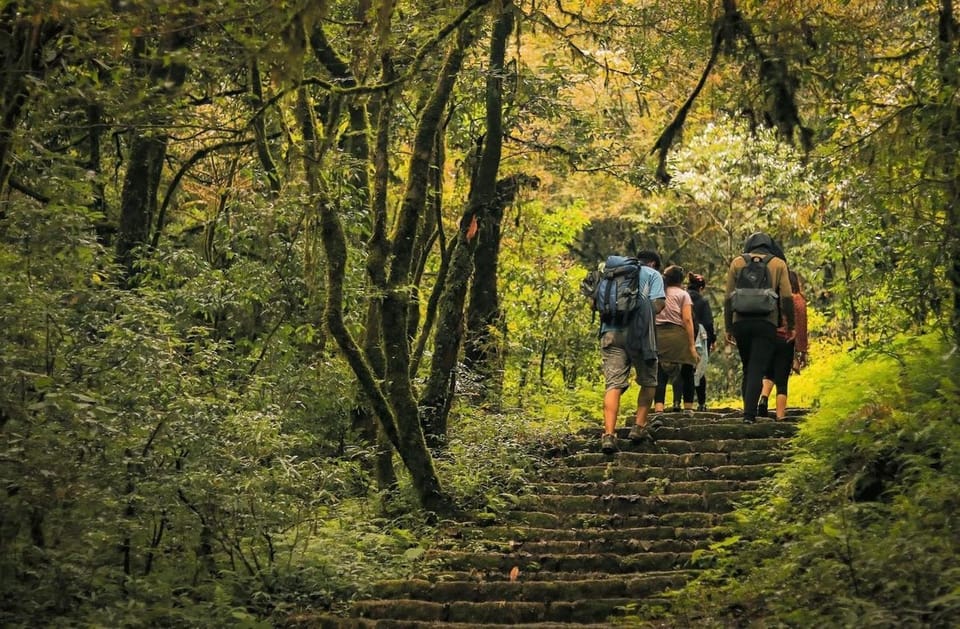 Kathmandu: Jamacho( Nagarjung Danda) Day Hike - Flora and Fauna Encounter