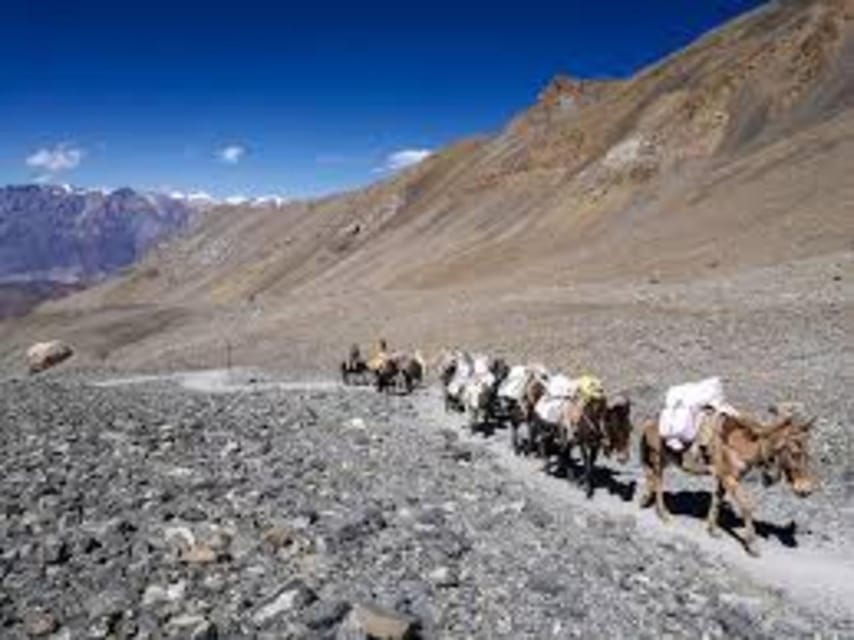 Katmandu: 14-Day Annapurna Circuit Trek via Thorang La Pass - Booking and Cancellation Policy