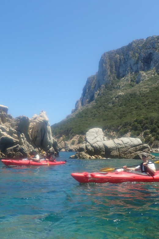 Kayak Tour of Capo Figari, Golfo Aranci (3 Hours) - Included Equipment and Supplies