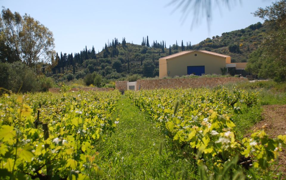 Kefalonia: Greek Wine Tasting at Sclavos Winery Near Lixouri - Frequently Asked Questions