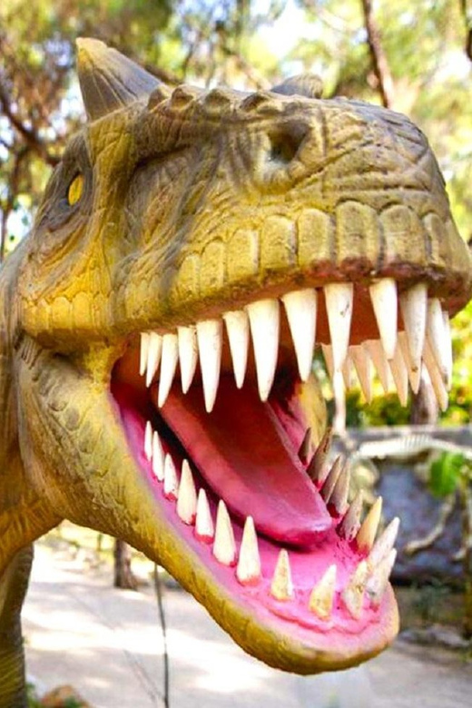 Kemer Dino Park Tour - Accessibility Options