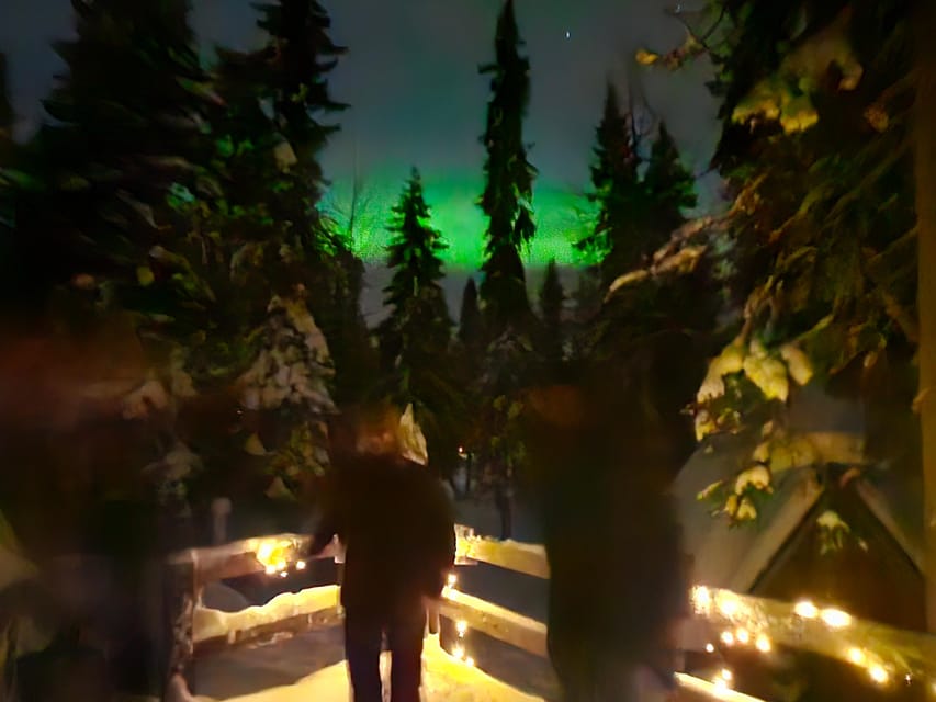 Kemi: Auroras / Northern Lights - Customer Experiences