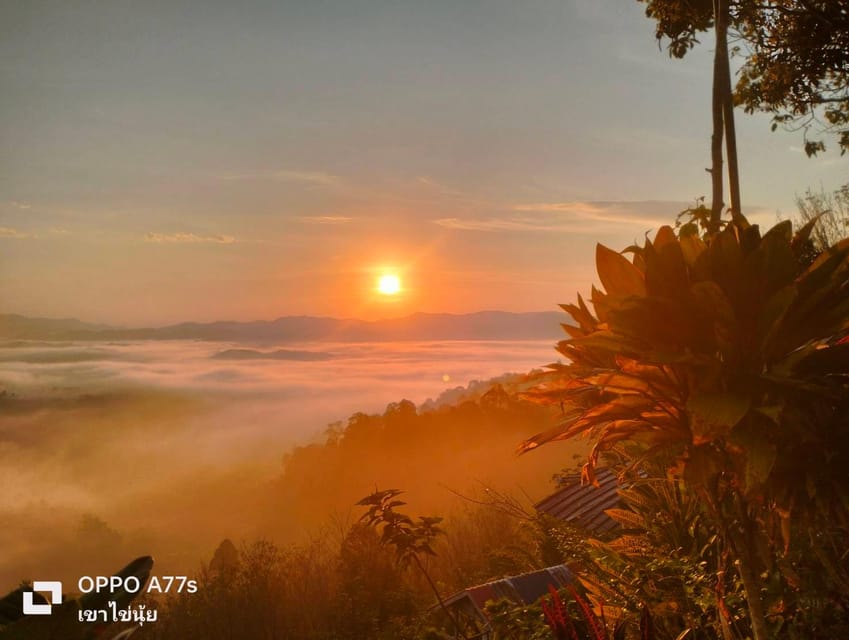 Khao Lak: Sea of Fog on Hill With Homestay One Night - Sunset and Stargazing