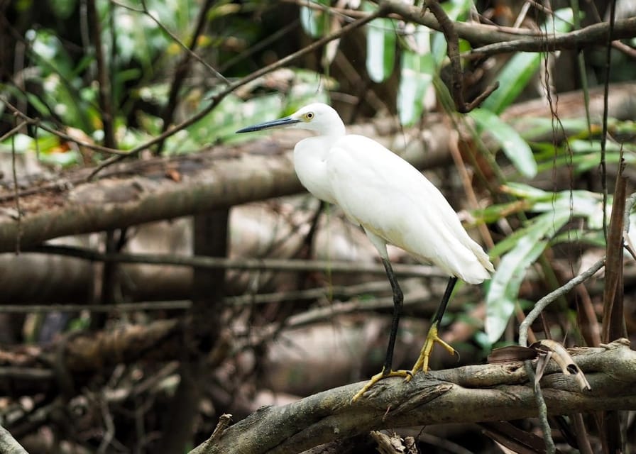 Khao Laks Little Amazon: Canoe, Trek & Waterfall Day Trip - Lunch and Hot Springs