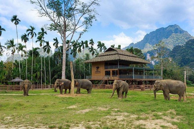 Khao Sok National Park Jungle Safari Full Day Tour From Phuket - Booking Information
