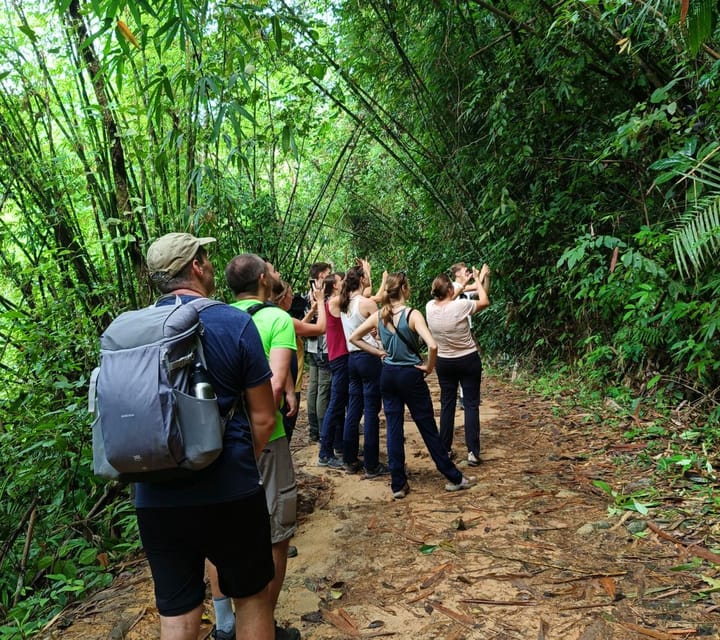 Khao Sok: Private Day Trekking, Jungle Dinner & Night Safari - Inclusions