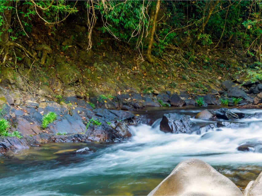 Khlong Sok: Khao Sok Waterfalls and Wildlife Half-Day Trek - Ratings Breakdown