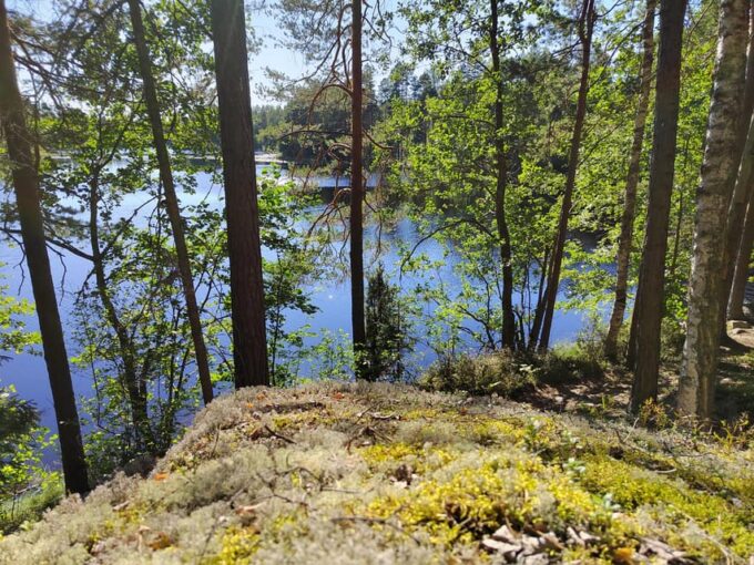 Kintulammi Nature Experience - What to Bring