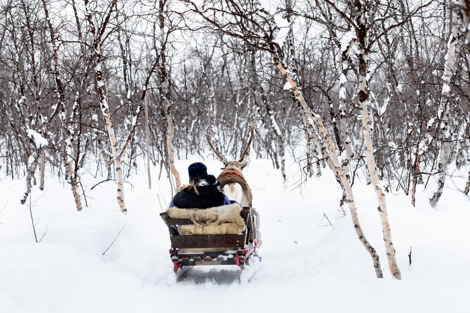 KIRUNA: Reindeer Sled Ride in the Countryside - Local Cuisine