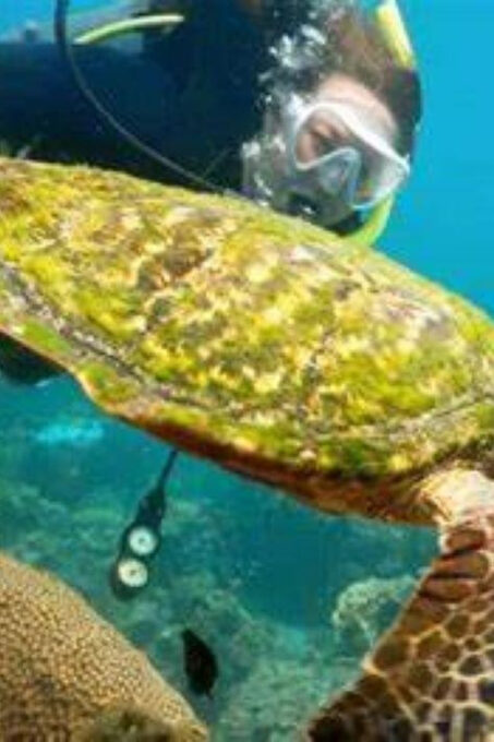 KOH SAMUI : Ang Thong Marine Park Adventure With Kayaking - Diverse Marine Ecosystems