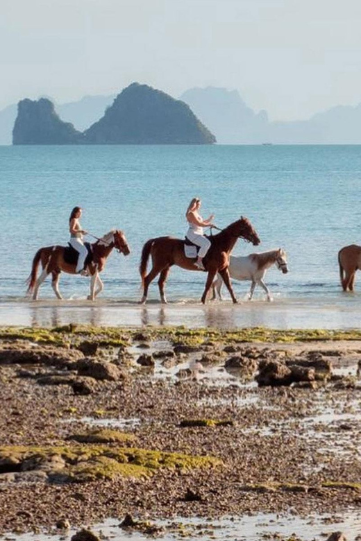 Koh Samui Horse Riding & Beach Trails - Equine Bonding Experience