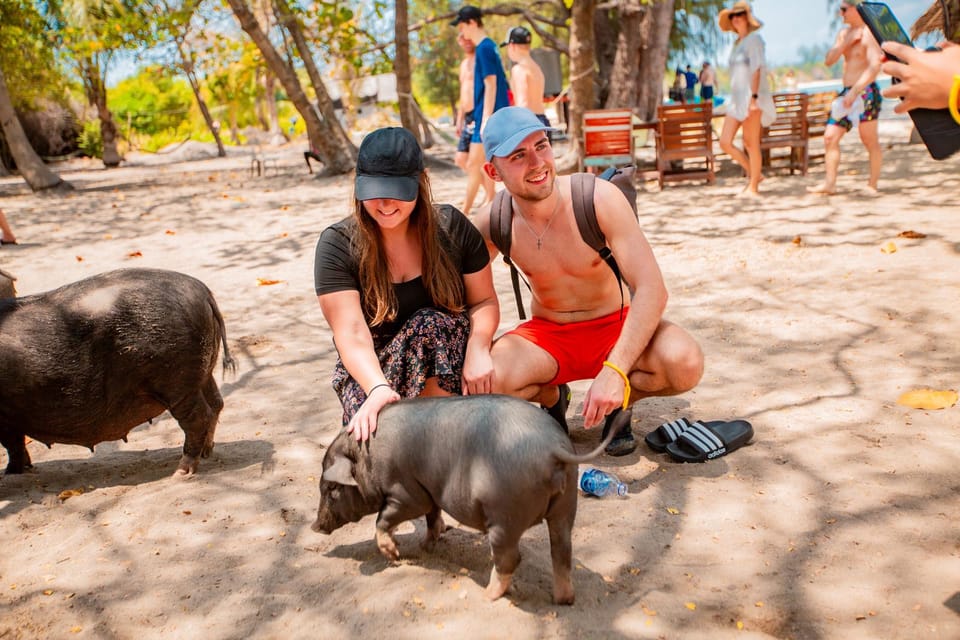 Koh Samui: Pig Island Day Tour by Speedboat - Activities on Koh Tan