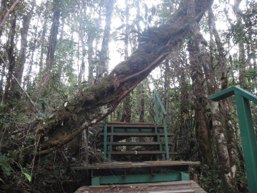 Kota Kinabalu : 2 Days 1 Nights Mount Trusmadi Shared Tour - Safety Precautions