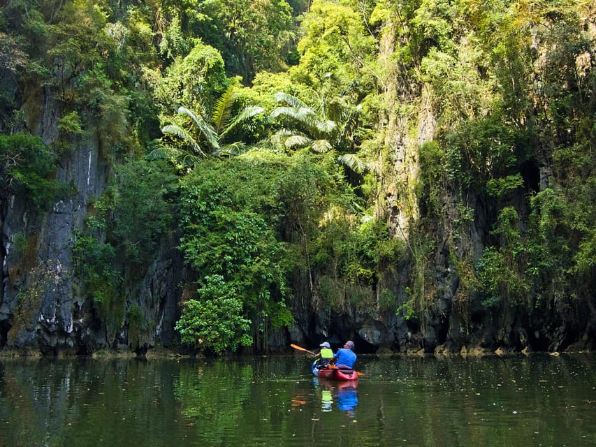 Krabi: Kayak Adventure Through Ao Thalane Mangrove Forest - Diverse Ecosystems and Wildlife