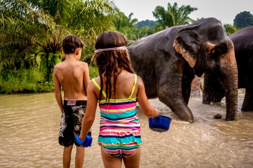 Krabi: Tiger Cave Temple and Elephant Sanctuary Visit - Elephant Sanctuary Experiences