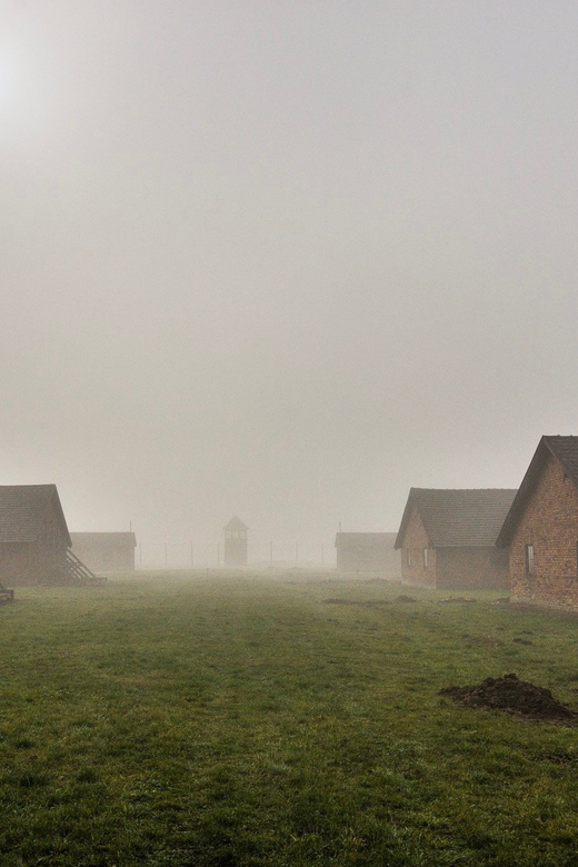 Krakow: Auschwitz-Birkenau Extended Guided Tour & Options - Transportation Options