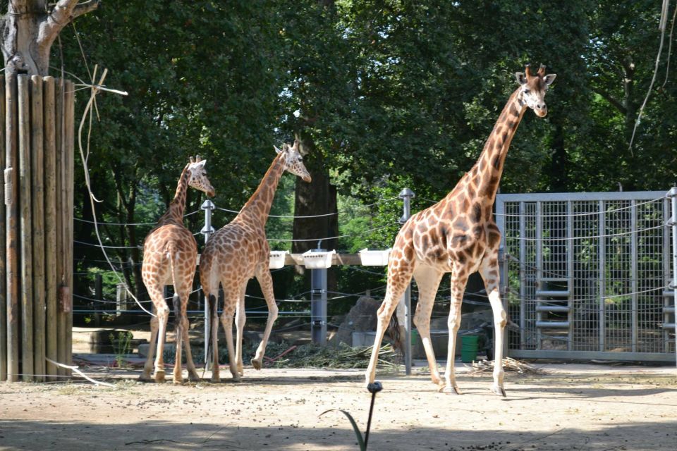 Krakow: Zoo Tour With Private Transport and Tickets - Booking Information