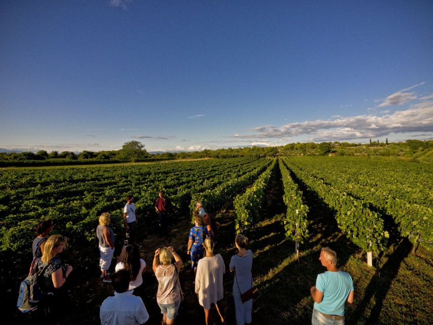 Krka Waterfalls Private Tour With Wine: a Shore Excursion - Wine Tasting at Local Vinery