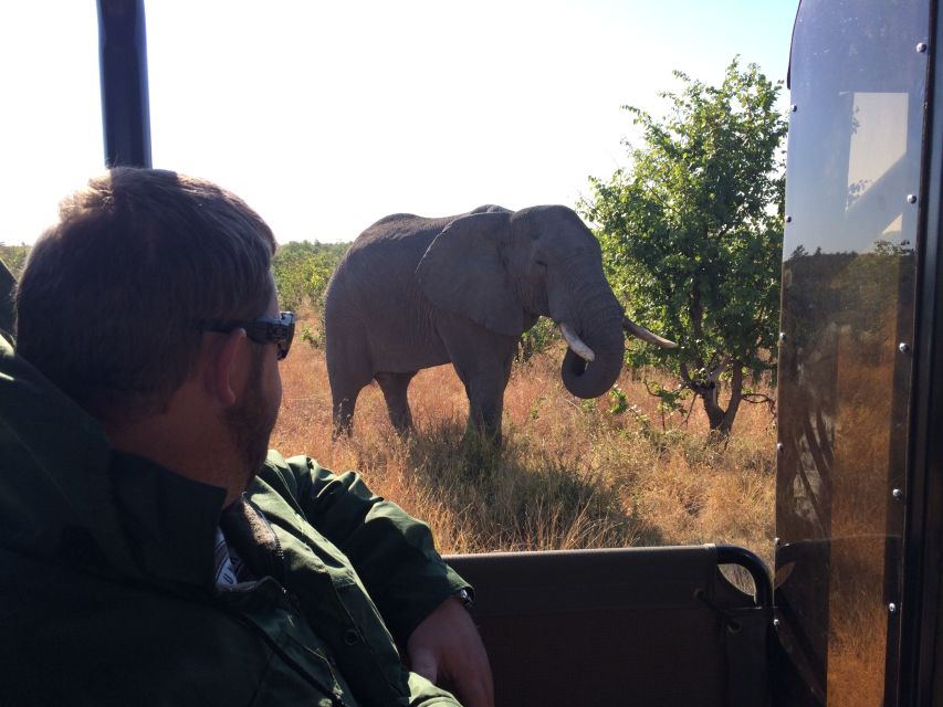 Kruger National Park: Private Morning Game Drive - Professional Guides Expertise