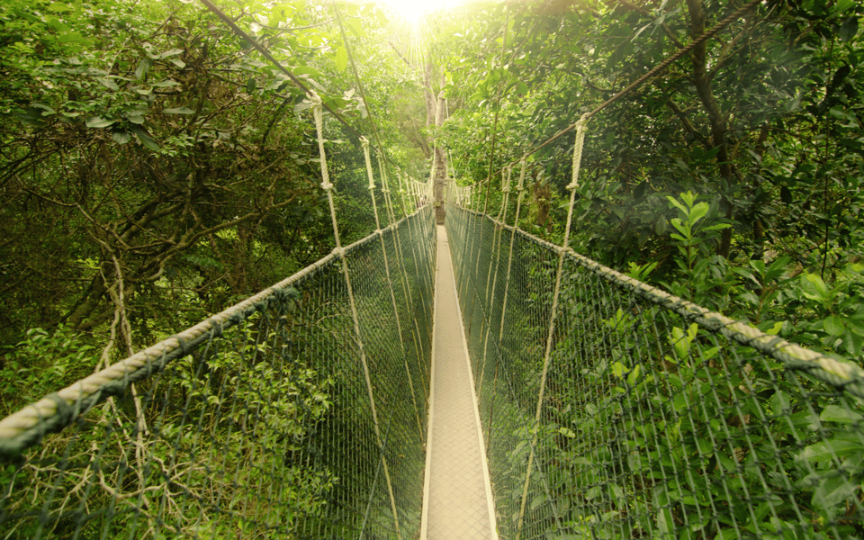 Kuala Lumpur: Taman Negara National Park Teras Waterfall - Frequently Asked Questions