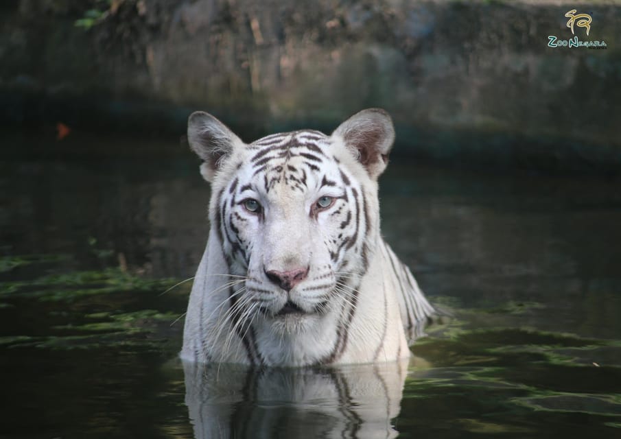 Kuala Lumpur: Zoo Negara Instant Entry E-Ticket - Accessibility Features