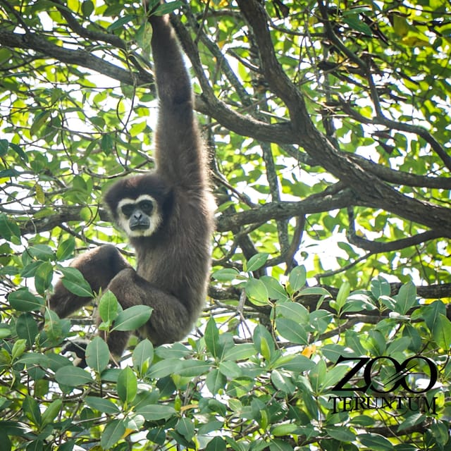 Kuantan: Teruntum Zoo Ticket - Important Visitor Guidelines