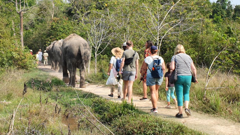 Kulen Elephant Forest and Tonle Sap Lake - Unique Highlights