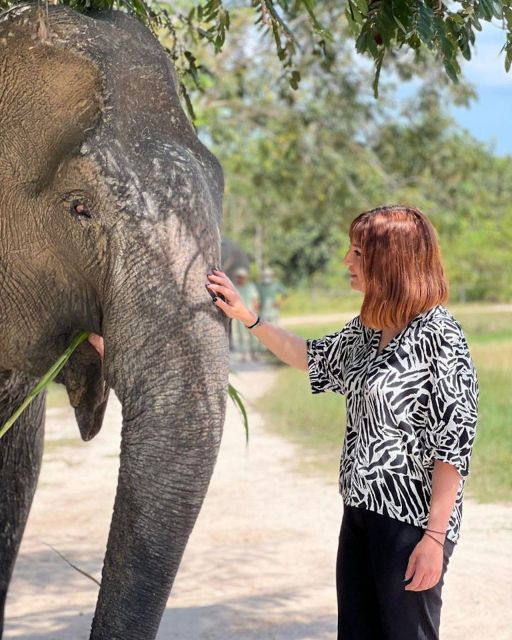 Kulen Elephant Forest Siem Reap in Small Group - Customer Reviews