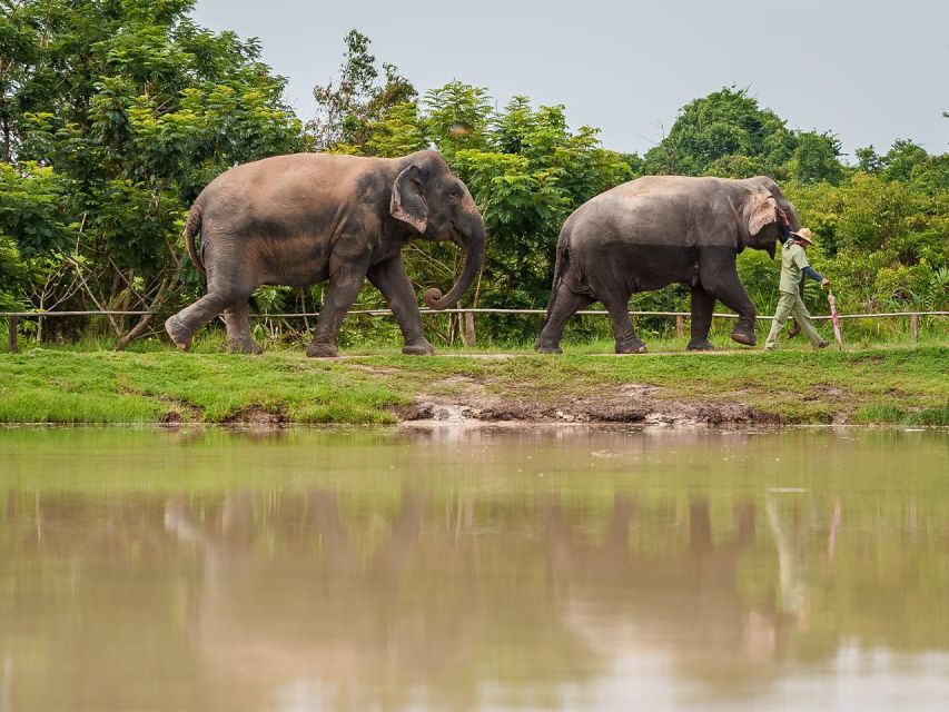 Kulen Elephant Forest Tour With Hotel Pick-Up & Drop off - Frequently Asked Questions