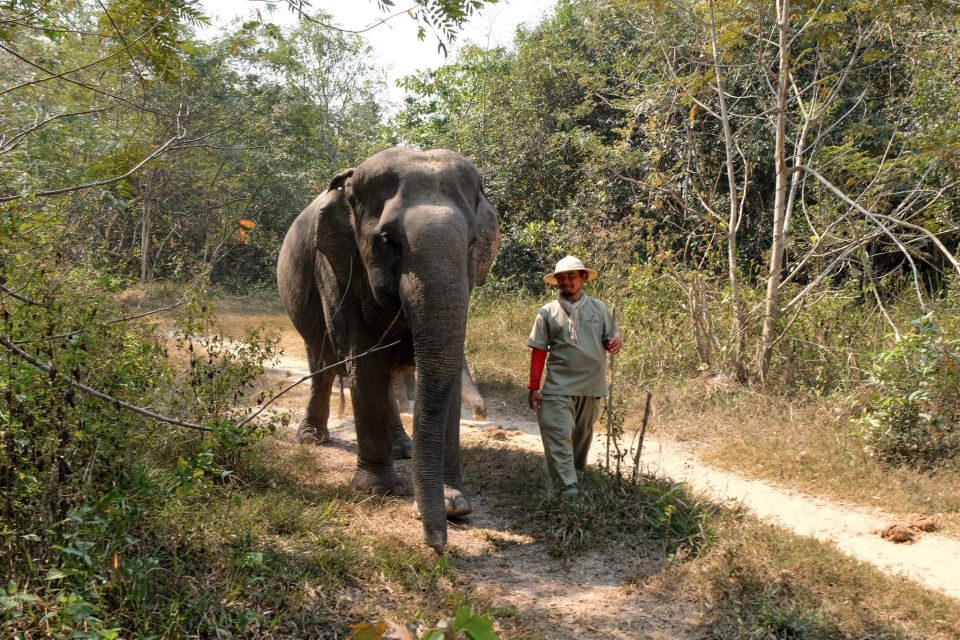 Kulen Elephant Forest & Water Fall, 1000 Lingas River Bed - Travel Tips