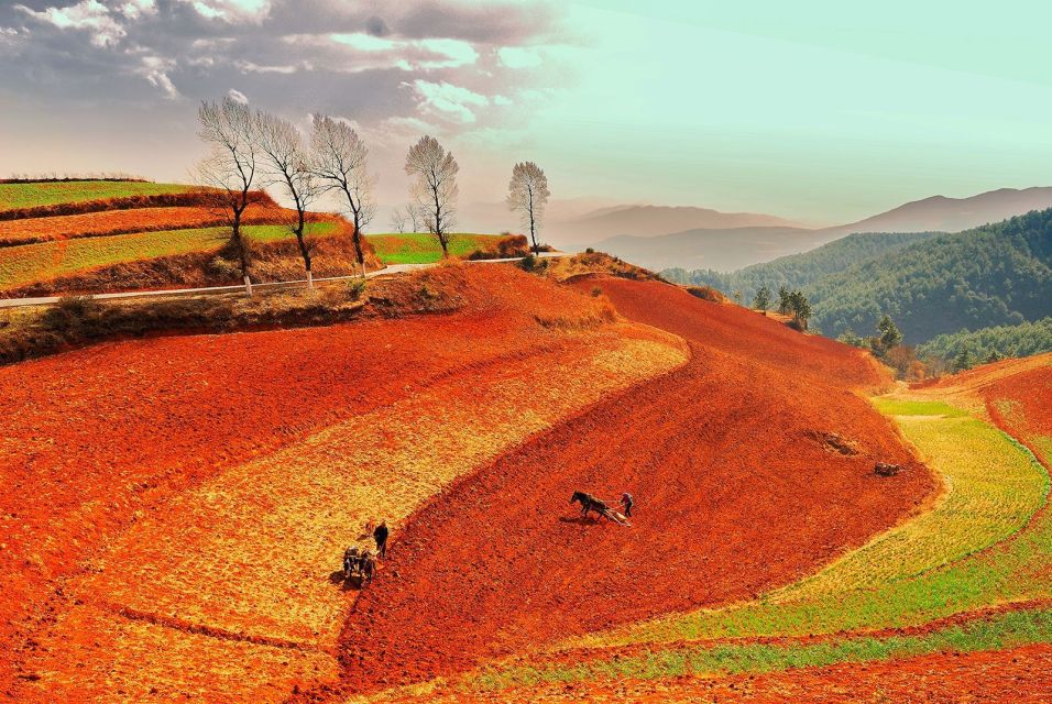 Kunming: 2-Day Dongchuan Red Land Photography Private Tour - Reserve Now & Pay Later