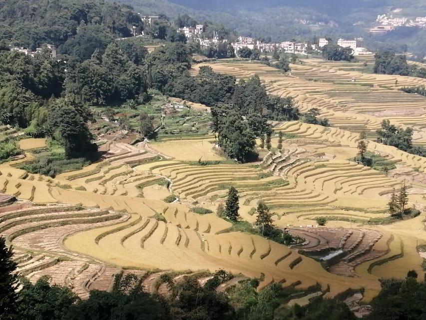 Kunming Stone Forest Yuanyang Terrace Jianshui Old Town4days - Cancellation Policy