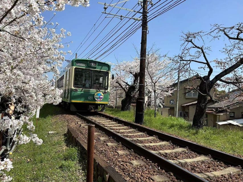 Kyoto/Osaka: Sanzen-in and Arashiyama Day Trip - Important Travel Information