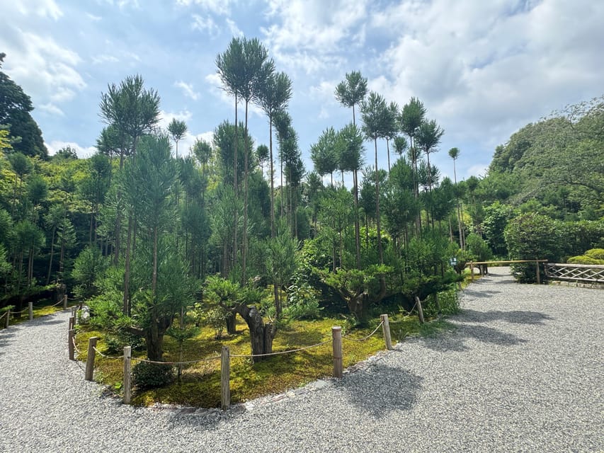 Kyoto: Ryōan-ji, Greatest Zen Garden Guided Tour in 80 Min. - What to Expect