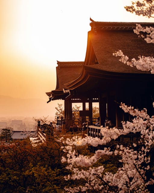 Kyoto: Trip Private Sightseeing Customised English Guided - Pricing Details