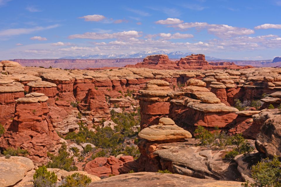 La Sal Mountain Loop: Scenic Self-Guided Driving Audio Tour - Exploring Dinosaur Footprints