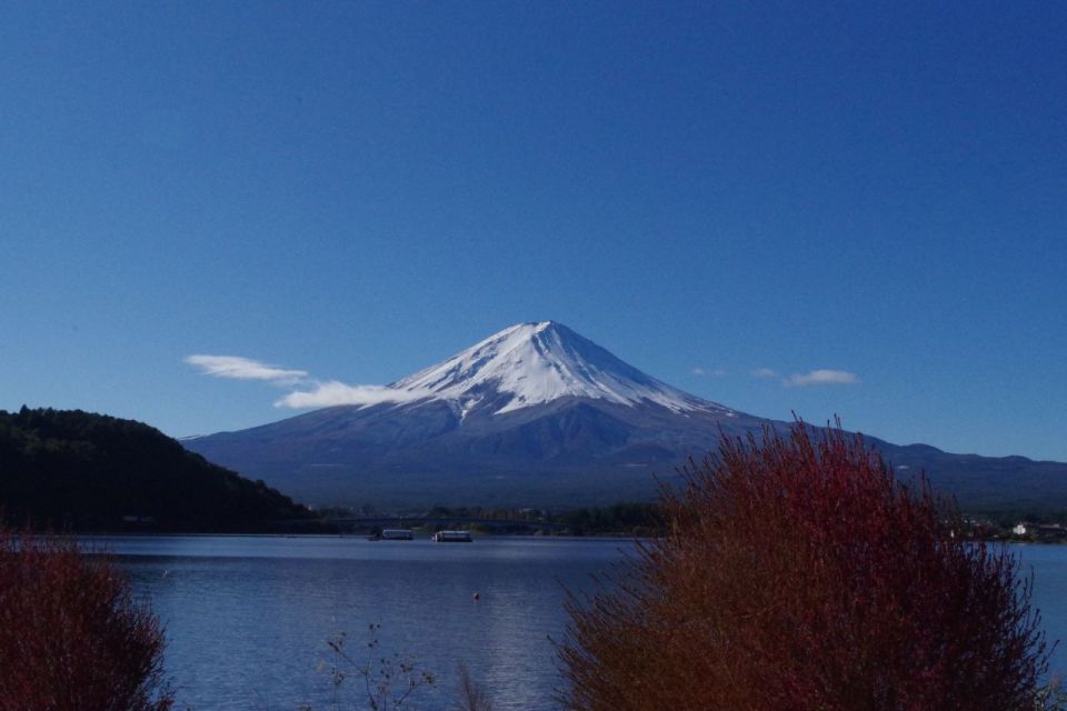 Lake Kawaguchi From Tokyo Express Bus Oneway/Roundway - Booking Details