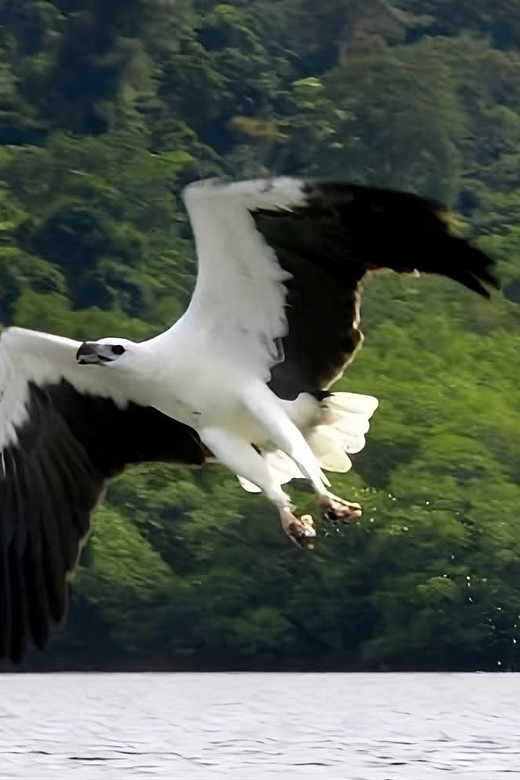 Langkawi: Mangrove Tours With Options - Booking Process