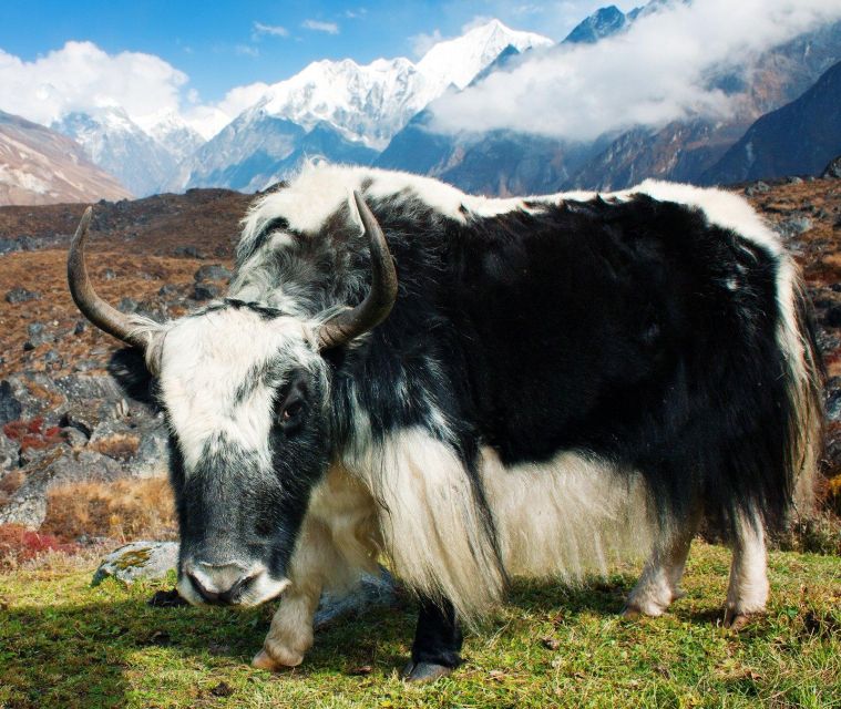 Langtang Valley Trek - 8 Days - Travel Tips