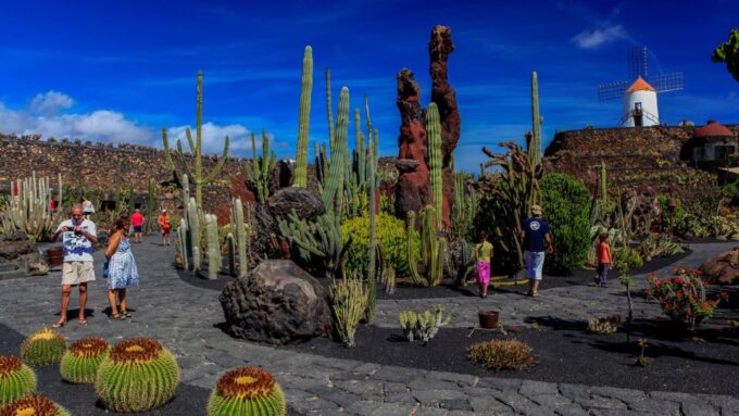 Lanzarote Coast-2-Coast Tour - Visiting Cactus Garden