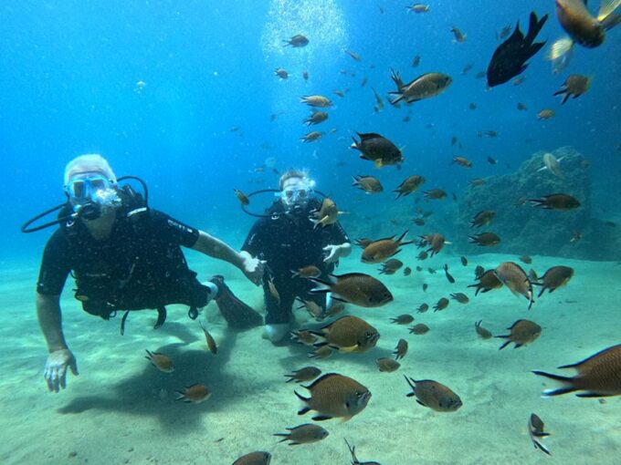 Lanzarote: Intro to Diving Experience for Beginners - Exceptional Customer Feedback