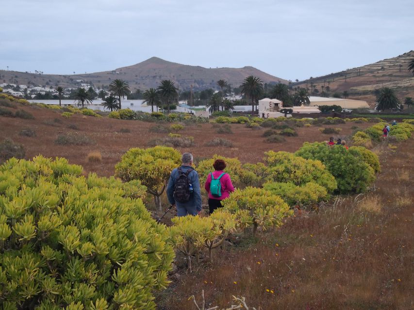 Lanzarote: Northern Cliffs & Valleys Walking Tour - Frequently Asked Questions