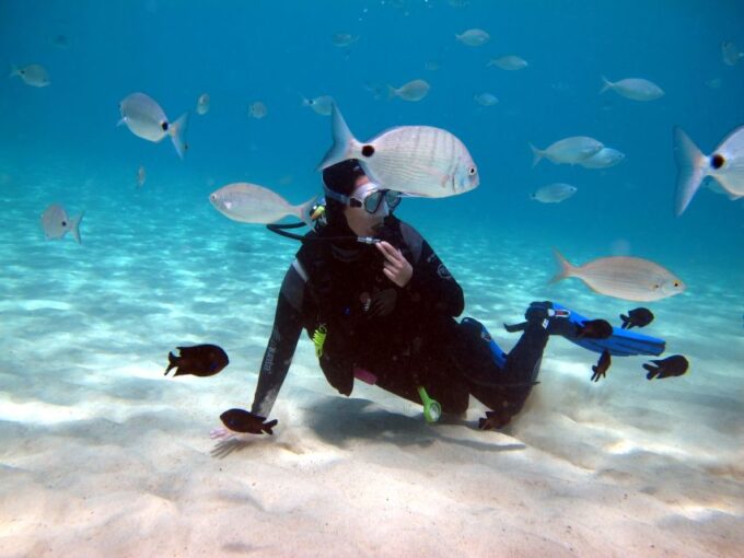 Lanzarote: Small Group Beginner Dive Course Costa Teguise - Frequently Asked Questions