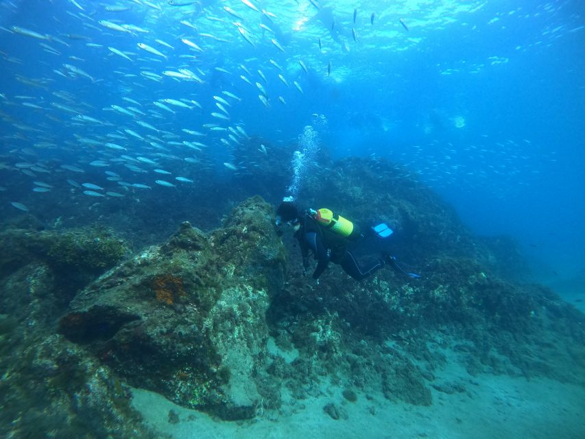 Lanzarote: Try Scuba Diving for Beginners - 2 Dives - Pricing and Savings