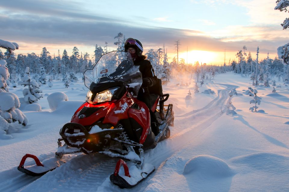 Lapland: Full-Day Snowmobile Safari Into the Wilderness - Frequently Asked Questions