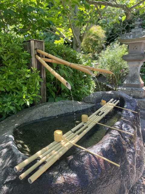 Largest Wooden Buddha, Temples, Cultural Experience - Accessibility and Meeting Point