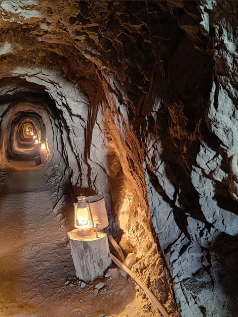 Las Vegas: El Dorado Canyon, Ghost Town and Gold Mine Tour - Inclusions for the Tour